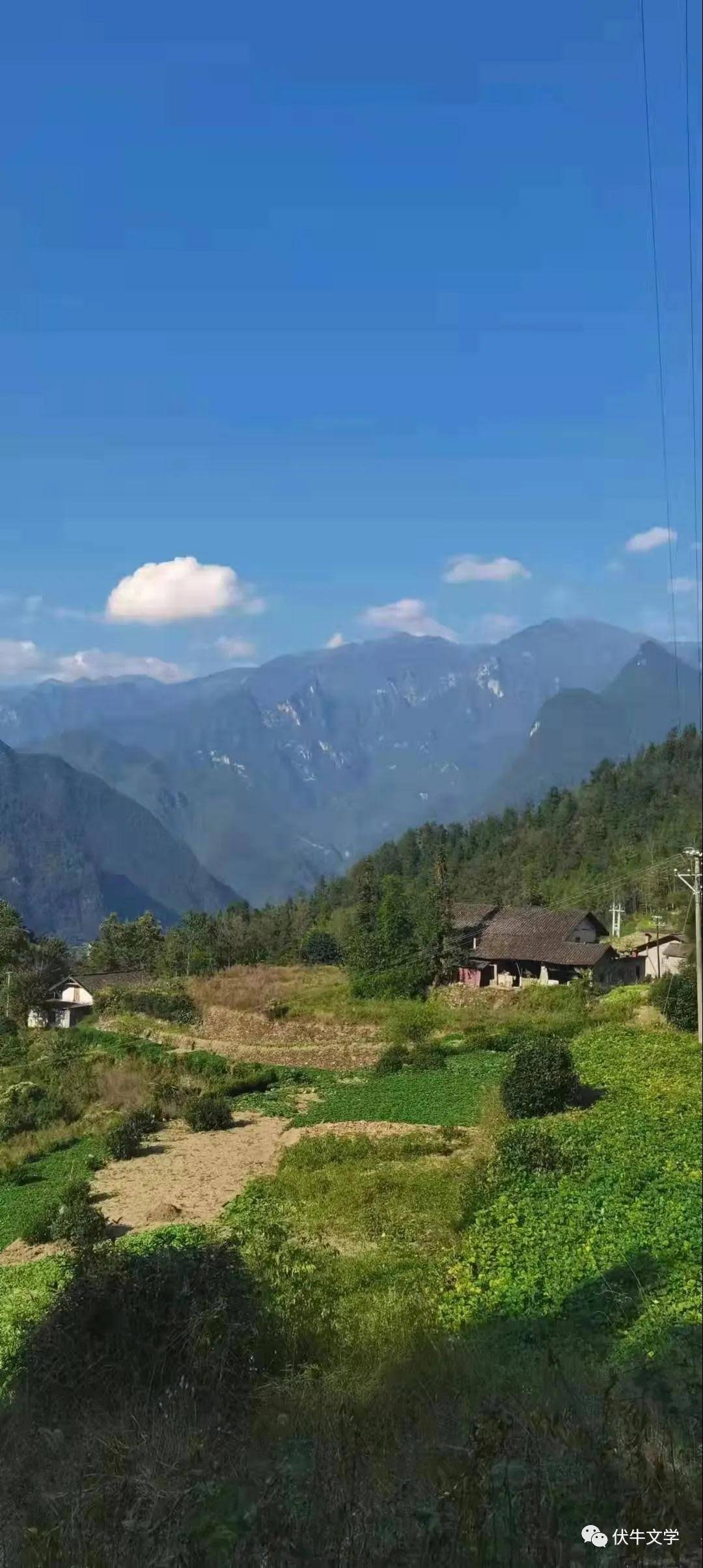 微信图片_20211029152909.jpg
