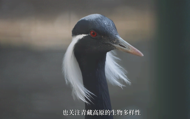 a8c3a8c0edec60d4424ed2f62a6caf08_0a2a7655c6833107a1261d581d2b7698.png